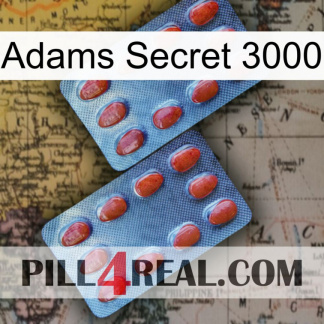Adams Secret 3000 05